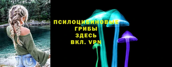 ALPHA PVP Верея