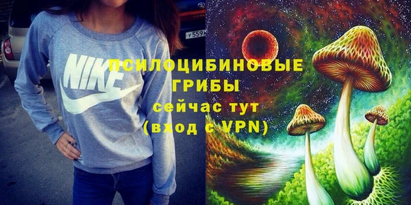 ALPHA PVP Верея